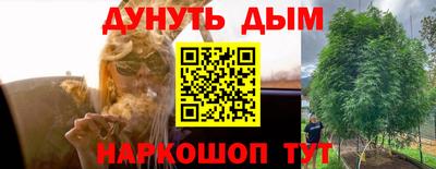 соль ск Дмитров